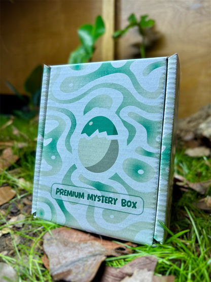 Premium Mystery Box 1.0